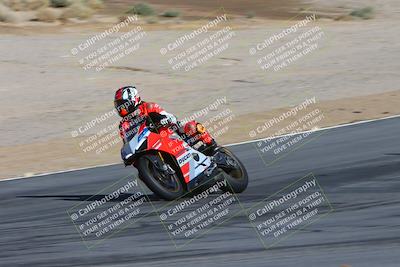 media/Feb-04-2024-SoCal Trackdays (Sun) [[91d6515b1d]]/4-Bowl Backside (11am)/